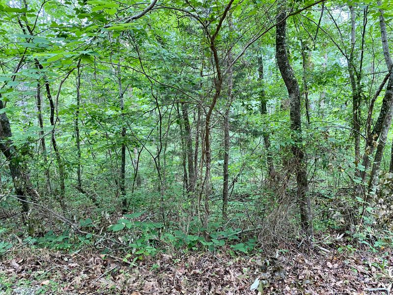 10 and 11 Wildcat Tr, Madisonville, TN 37354
