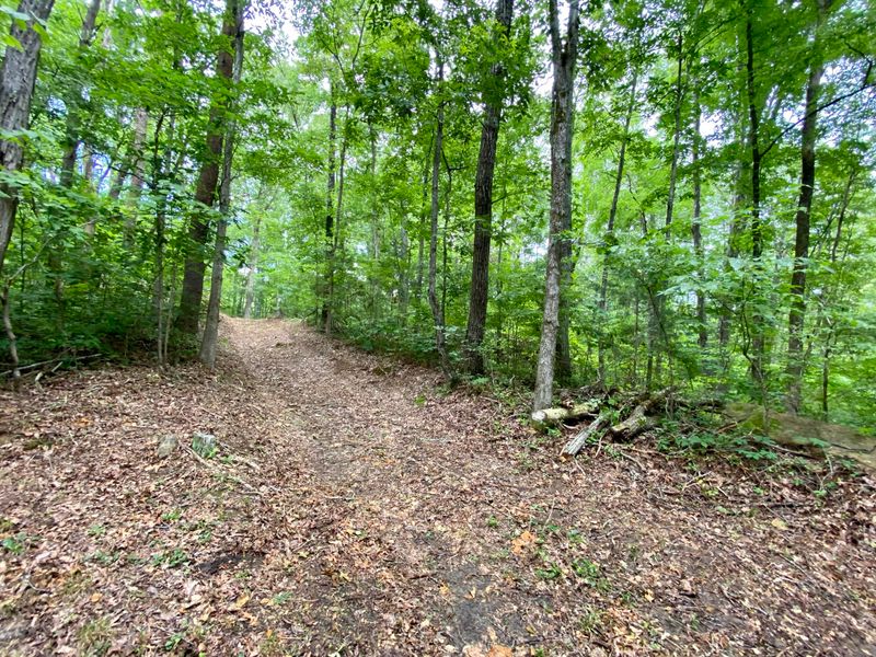 10 and 11 Wildcat Tr, Madisonville, TN 37354