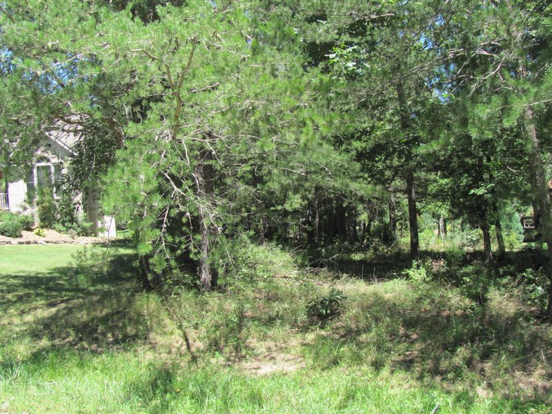 10 Brooks Ln, Fairfield Glade, TN 38558