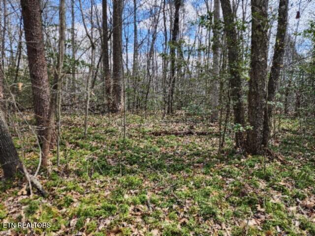 10.79ac S/o Buffalo Rd, Oneida, TN 37841