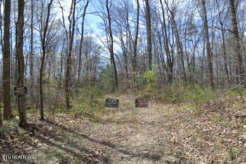 10.79ac S/o Buffalo Rd, Oneida, TN 37841