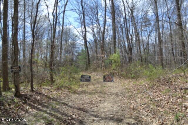 10.79ac S/o Buffalo Rd, Oneida, TN 37841