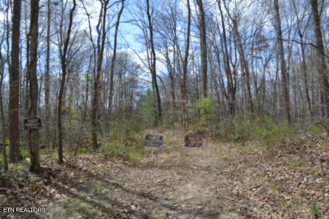 10.79ac S/o Buffalo Rd, Oneida, TN 37841