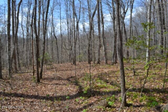 10.79ac S/o Buffalo Rd, Oneida, TN 37841