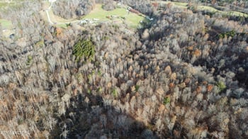 100 acres Elum Coffey Rd, Thorn Hill, TN 37881