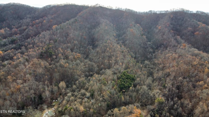 100 acres Elum Coffey Rd, Thorn Hill, TN 37881