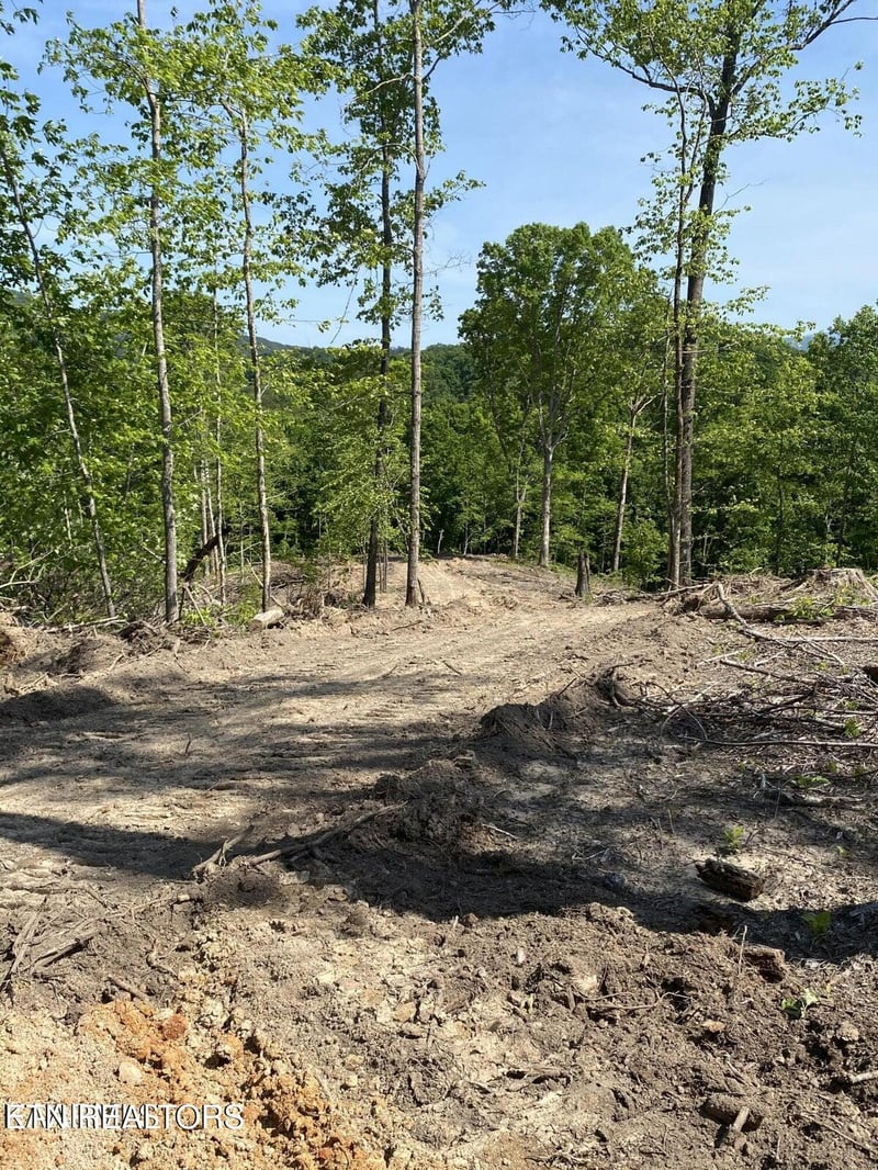 100 acres Highway 72, Maryville, TN 37801