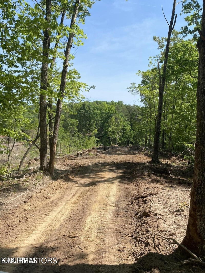 100 acres Highway 72, Maryville, TN 37801