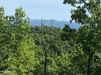 100 acres Highway 72, Maryville, TN 37801