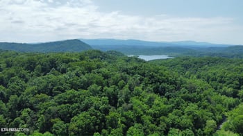 100 acres Highway 72, Maryville, TN 37801