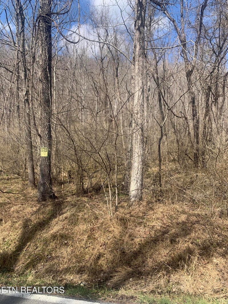 100 C E Todd Rd, Sunbright, TN 37872
