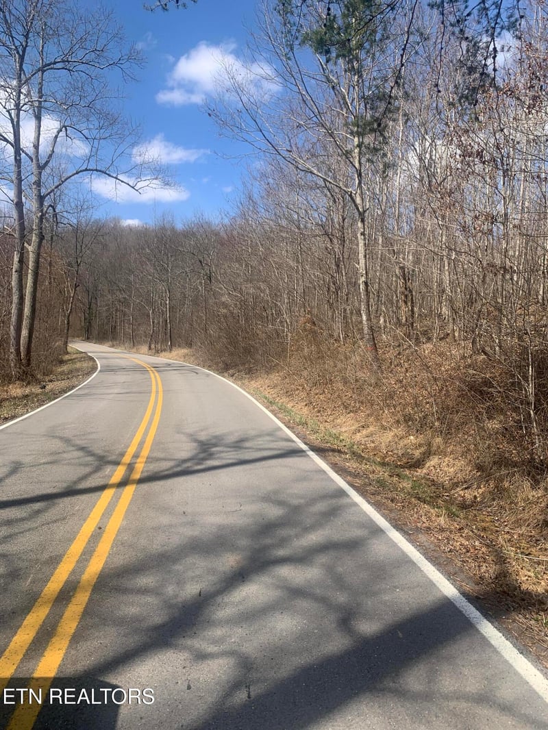 100 C E Todd Rd, Sunbright, TN 37872