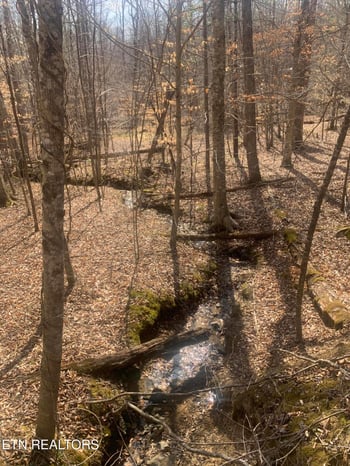 100 C E Todd Rd, Sunbright, TN 37872