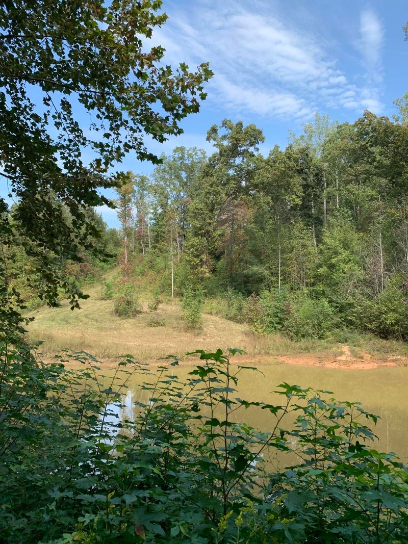 100 Cave Creek Rd, Loudon, TN 37774