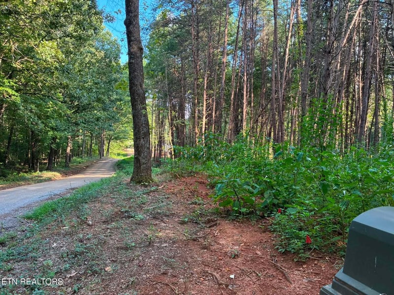 100 County Road 262, Niota, TN 37826
