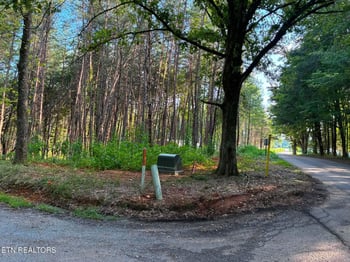100 County Road 262, Niota, TN 37826