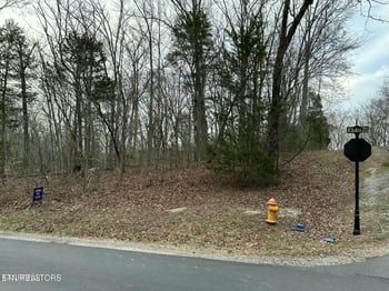 100 Odali Ln, Loudon, TN 37774