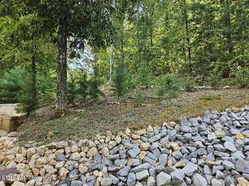 100 Warriors Passage Dr, Tellico Plains, TN 37385
