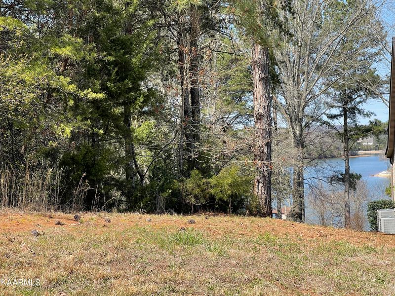 100 Wax Wing Dr, Vonore, TN 37885