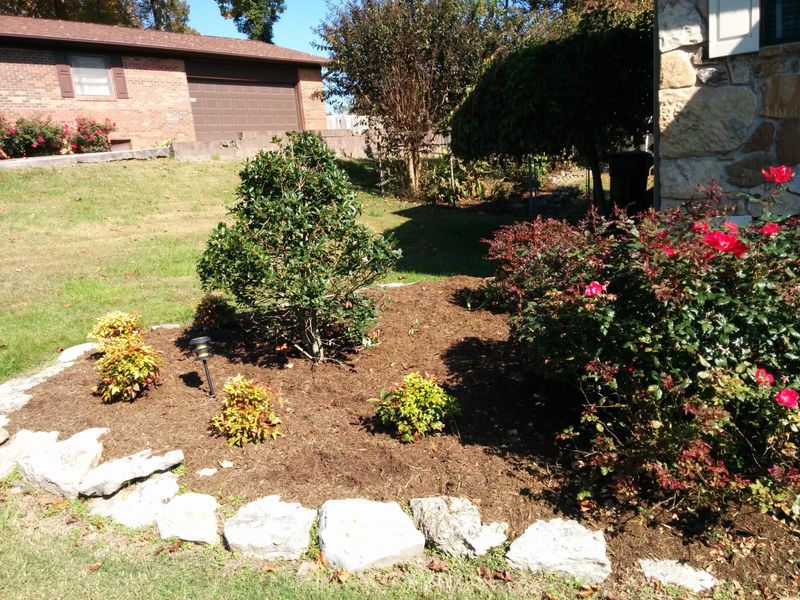 10000 Pitch Pine Dr, Powell, TN 37849