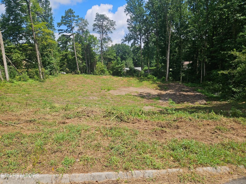 10004 Sugar Pine Ct, Powell, TN 37849