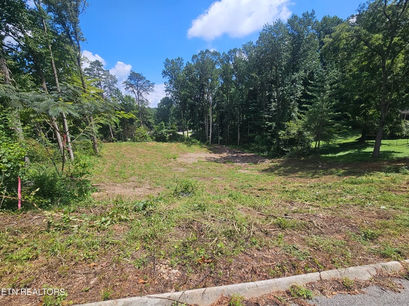 10004 Sugar Pine Ct, Powell, TN 37849