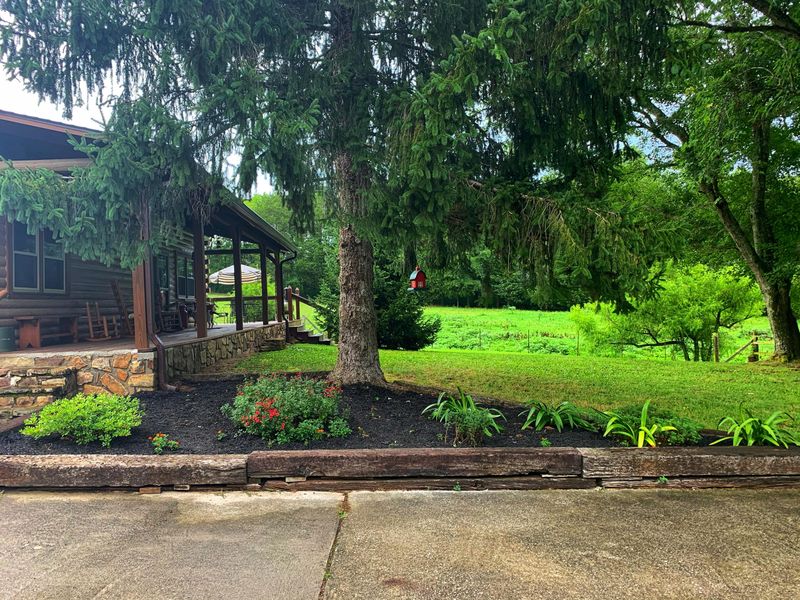 10017 Rutledge Pike, Corryton, TN 37721