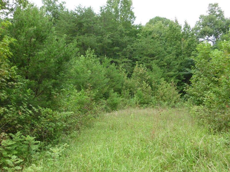 1002 County Road 480, Englewood, TN 37329