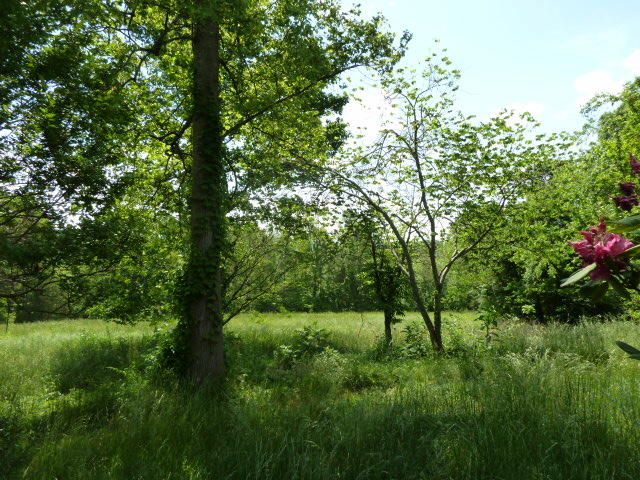 10023 Norris Freeway, Powell, TN 37849