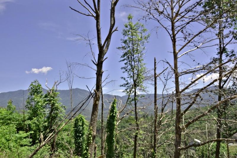 1004 Elm Rd, Gatlinburg, TN 37738