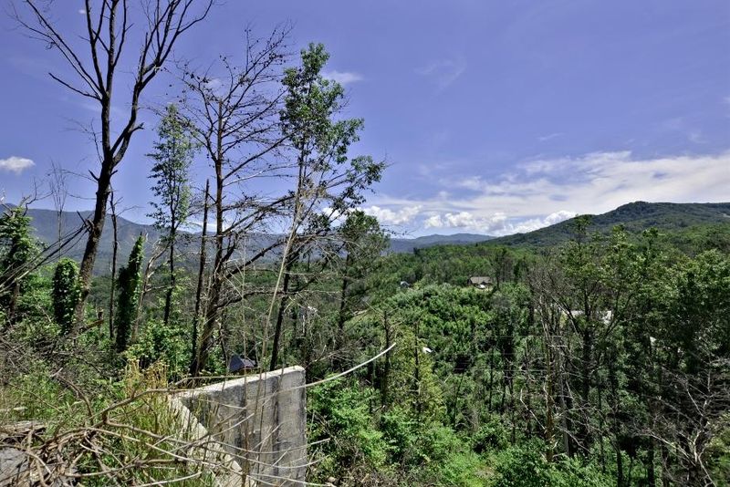 1004 Elm Rd, Gatlinburg, TN 37738