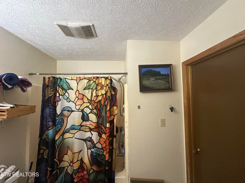 1005 Lisa St, Seymour, TN 37865