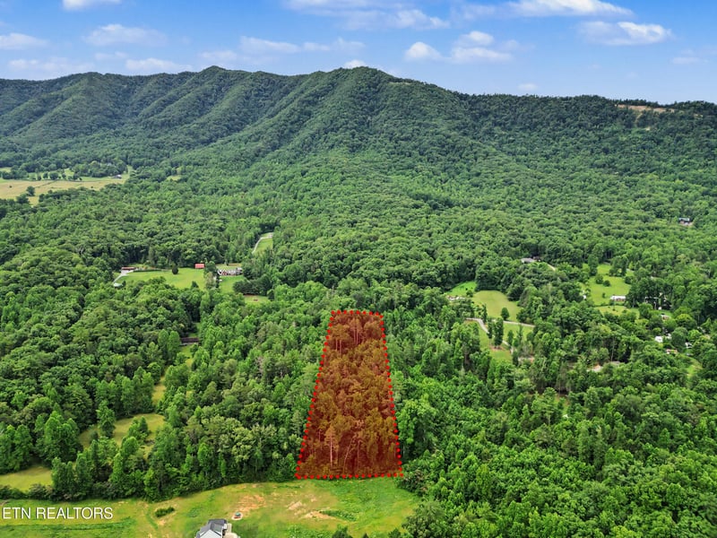 1006 Dry Valley Rd, Townsend, TN 37882