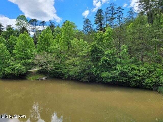 1006 Raymond Way, Cosby, TN 37722