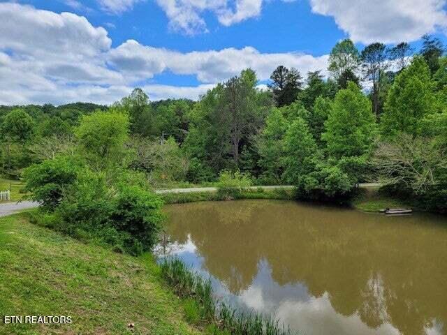 1006 Raymond Way, Cosby, TN 37722