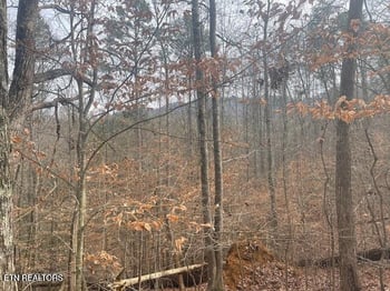 1008 Blair Loop Rd, Walland, TN 37886