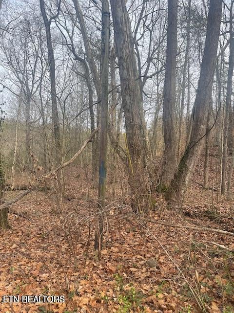 1008 Blair Loop Rd, Walland, TN 37886