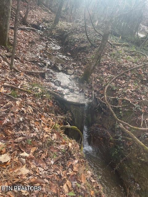 1008 Blair Loop Rd, Walland, TN 37886