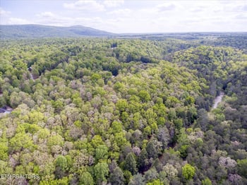 1008 Meridian Rd, Crossville, TN 38555