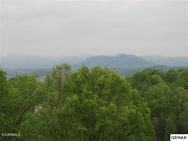 1008 Tramel Rd, Sevierville, TN 37862