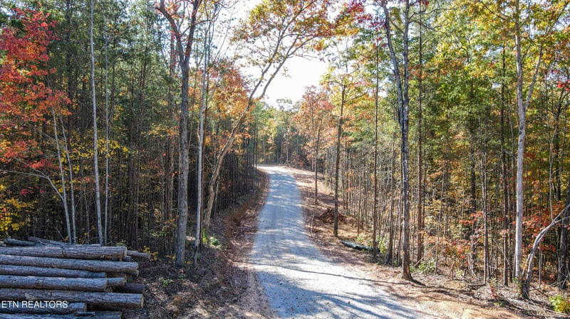 101 Cherokee Pa, Tellico Plains, TN 37385