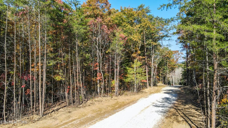 101 Cherokee Pa, Tellico Plains, TN 37385