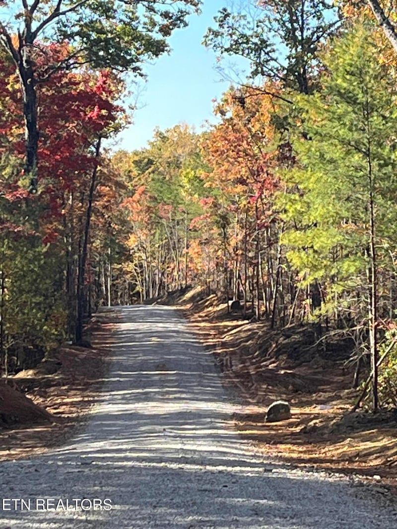 101 Cherokee Pa, Tellico Plains, TN 37385