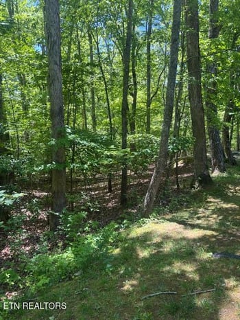 101 Hilton Ln, Crossville, TN 38558