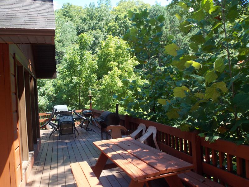 101 Mt Vista Dr, Vonore, TN 37885