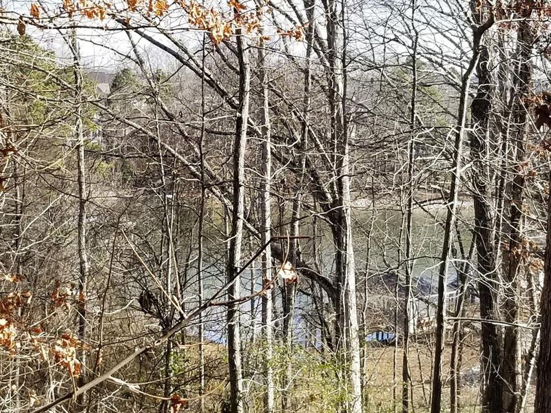 101 Shawnee Point, Loudon, TN 37774
