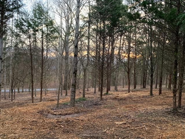 1010 Kahite Tr, Vonore, TN 37885