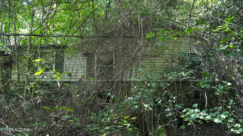 1011 Bazel Rd, Harriman, TN 37748