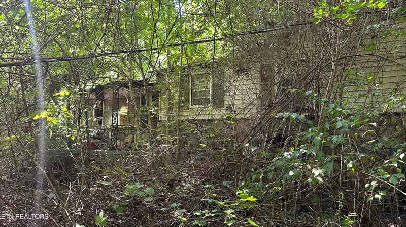 1011 Bazel Rd, Harriman, TN 37748