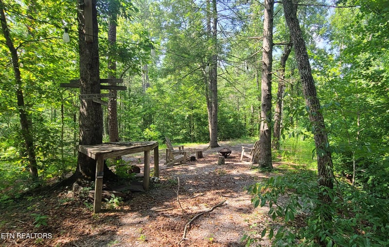 1011 Carrs Creek Rd, Townsend, TN 37882